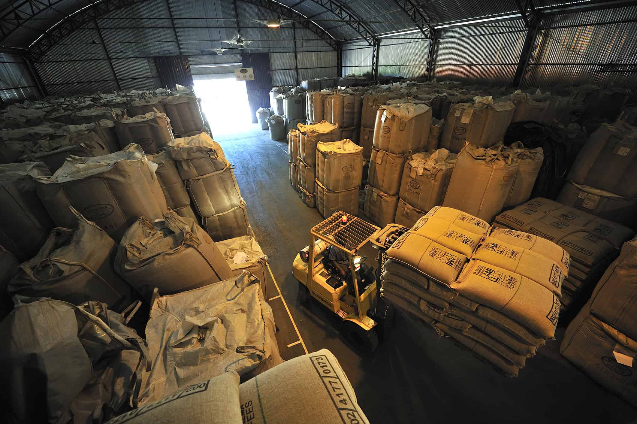 Navigating the Seasonal Supply Chain: Brewing Success
